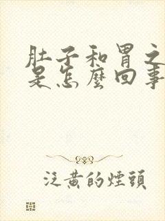 肚子和胃之间疼是怎么回事