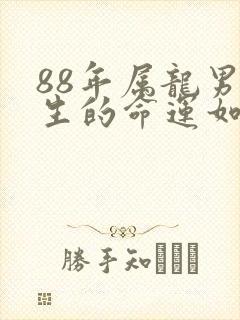 88年属龙男一生的命运如何