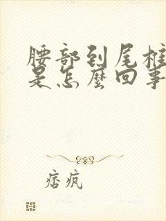 腰部到尾椎骨疼是怎么回事