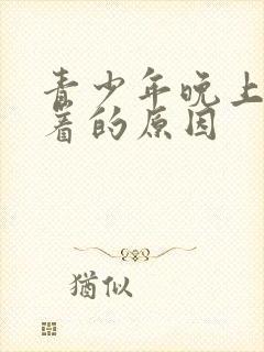 青少年晚上睡不着的原因