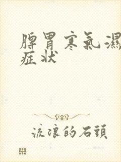 脾胃寒气湿气重症状