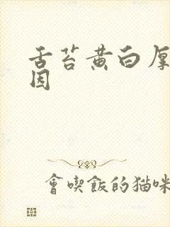 舌苔黄白厚腻原因