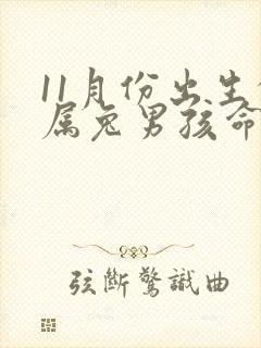 11月份出生的属兔男孩命运