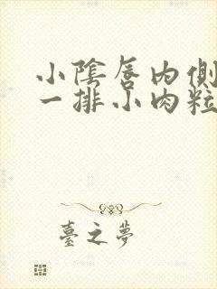 小阴唇内侧长了一排小肉粒