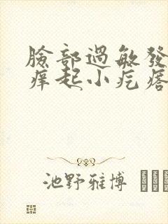 脸部过敏发红发痒起小疙瘩怎么办