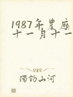1987年农历十一月十一日是什么命