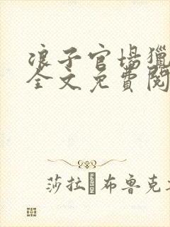 浪子官场猎艳记全文免费阅读封面