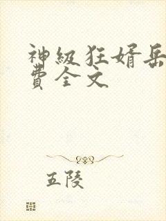 神级狂婿岳风免费全文