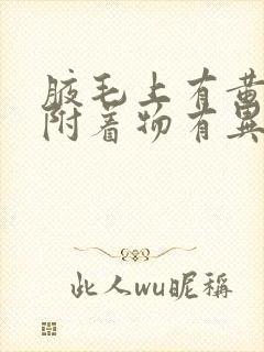 腋毛上有黄黄的附着物有异味