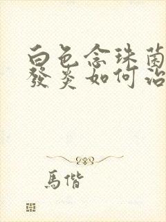 白色念珠菌阴道发炎如何治疗