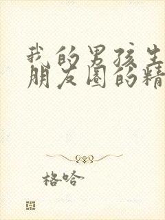 我的男孩生日发朋友圈的精美句子