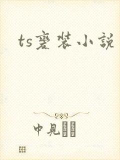 ts变装小说