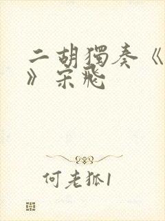 二胡独奏《月夜》宋飞