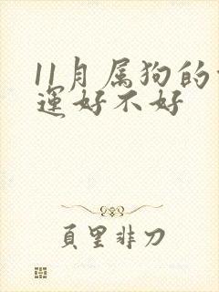 11月属狗的命运好不好