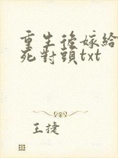重生后嫁给前夫死对头txt