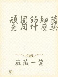 顽固的细菌性阴炎用什么药好封面