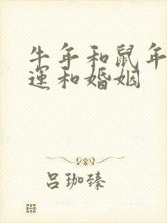 牛年和鼠年的命运和婚姻封面