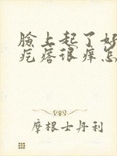 脸上起了好多红疙瘩很痒怎么办