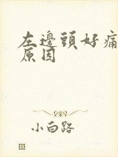 左边头好痛什么原因