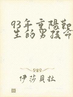 93年重阳节出生的男孩命运封面