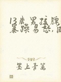 13岁男孩脾气暴躁易怒,自控能力差