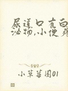 尿道口有白色分泌物,小便疼痛封面