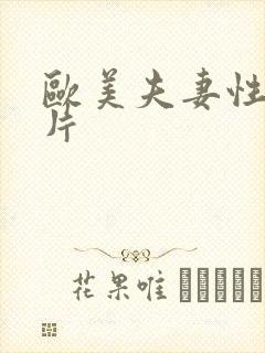 欧美夫妻性生活片