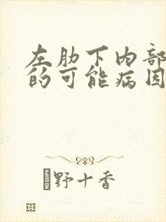 左肋下内部疼痛的可能病因