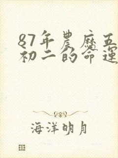 87年农历五月初二的命运