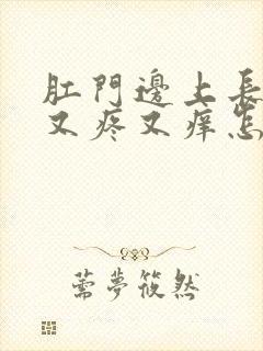 肛门边上长疙瘩又疼又痒怎么回事