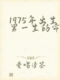 1975年出生男一生的命运
