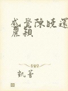 感觉陈晓还爱赵丽颖