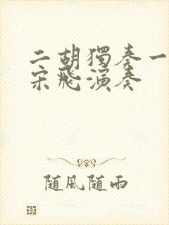 二胡独奏一点红宋飞演奏封面