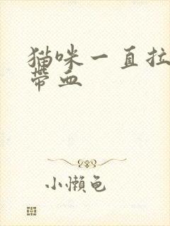 猫咪一直拉尿还带血