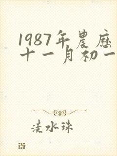 1987年农历十一月初一出生命运