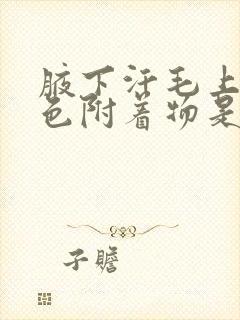 腋下汗毛上有白色附着物是什么