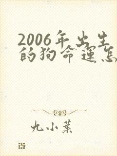2006年出生的狗命运怎么样