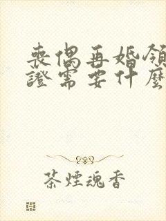 丧偶再婚领结婚证需要什么证件