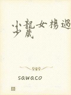 小龙女杨过差多少岁