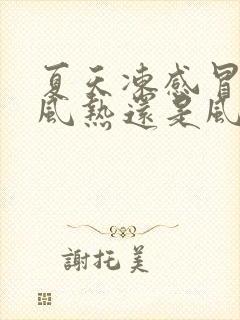 夏天冻感冒了是风热还是风寒封面