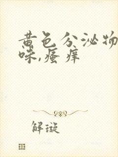 黄色分泌物,异味,瘙痒