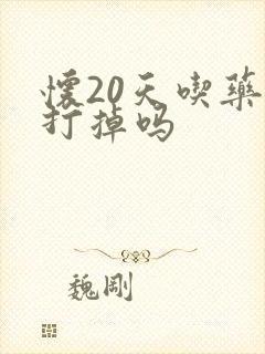 怀20天吃药能打掉吗封面