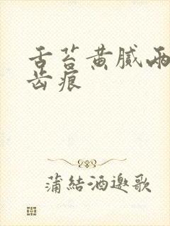 舌苔黄腻两侧有齿痕