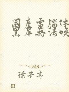 国产电脑休眠后黑屏无法唤醒怎么办