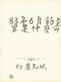 83年6月的猪男是什么命