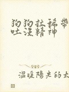 狗狗拉稀带血呕吐没精神