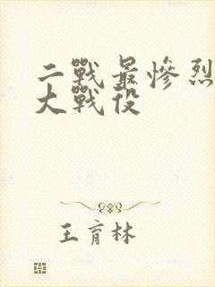 二战最惨烈的三大战役封面