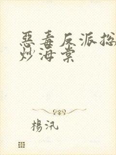 恶毒反派总被爆炒海棠封面