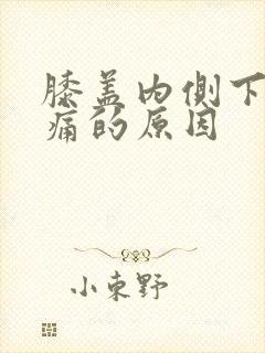 膝盖内侧下方疼痛的原因