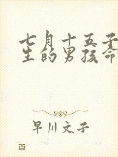 七月十五子时出生的男孩命运怎样封面